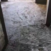 欧碧雅空间设计